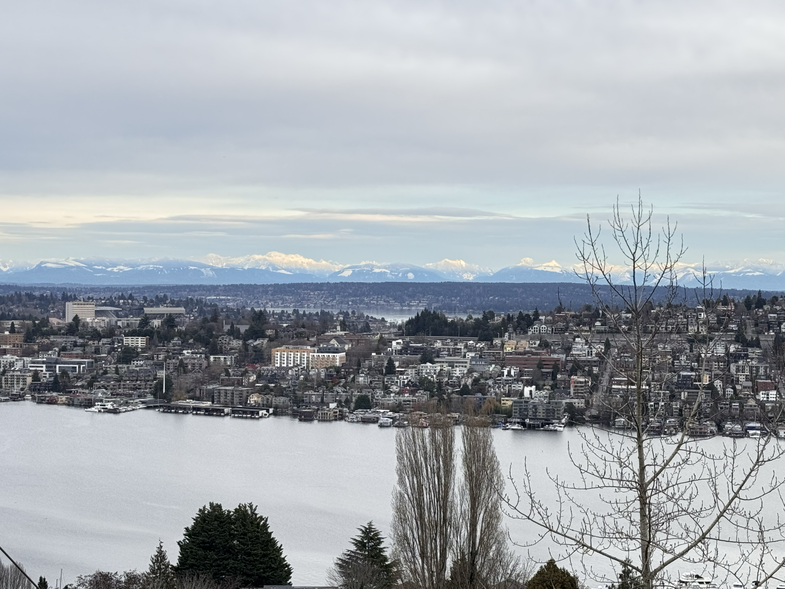 how much does a home in Bothell WA cost