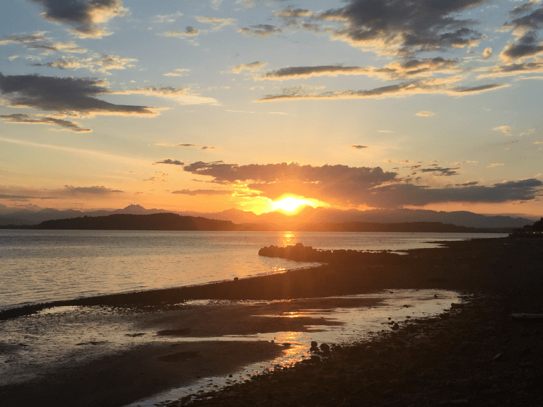 how to win a bidding war in seattle
